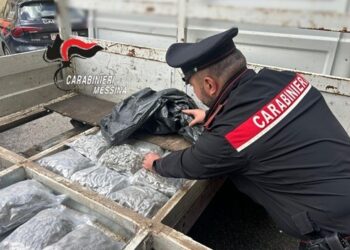 Traffico di droga tra la Calabria e la Sicilia un arresto