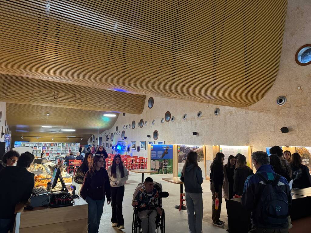 generico novembre 2025 562135