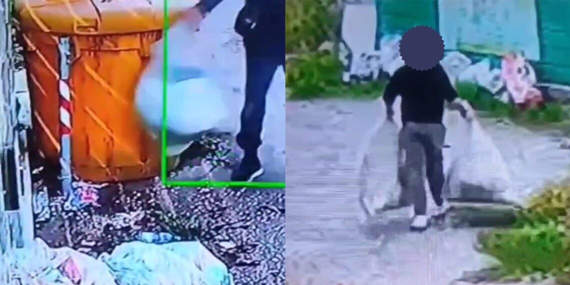 A Vibo Valentia ancora dei “lordazzi” immortalati dalla fototrappole (VIDEO)