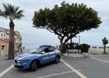 La Polizia trova della droga in un'auto abbandonata a Tropea 4 La Polizia trova della droga in un’auto abbandonata a Tropea