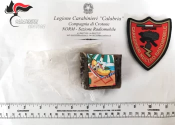 I Carabinieri notano uno strano via-vai da un appartamento e dentro trovano della droga