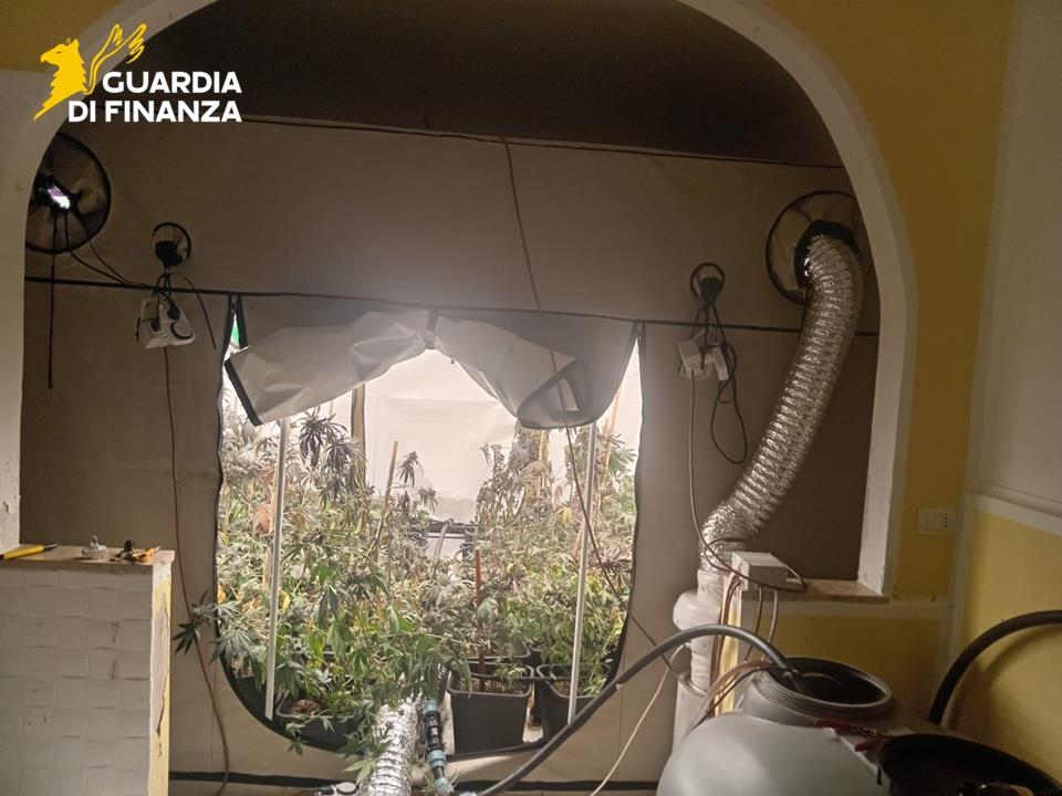 02122025 052004 Gdf2