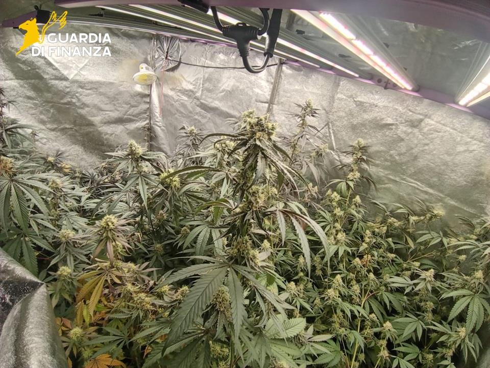 02122025 052040 Gdf6