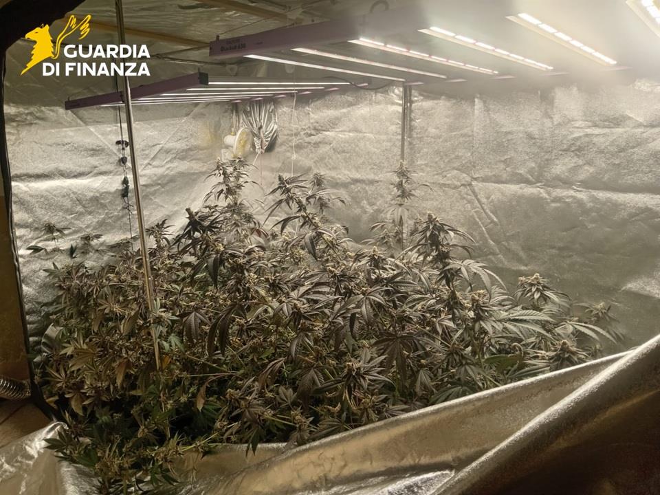 02122025 052049 Gdf7