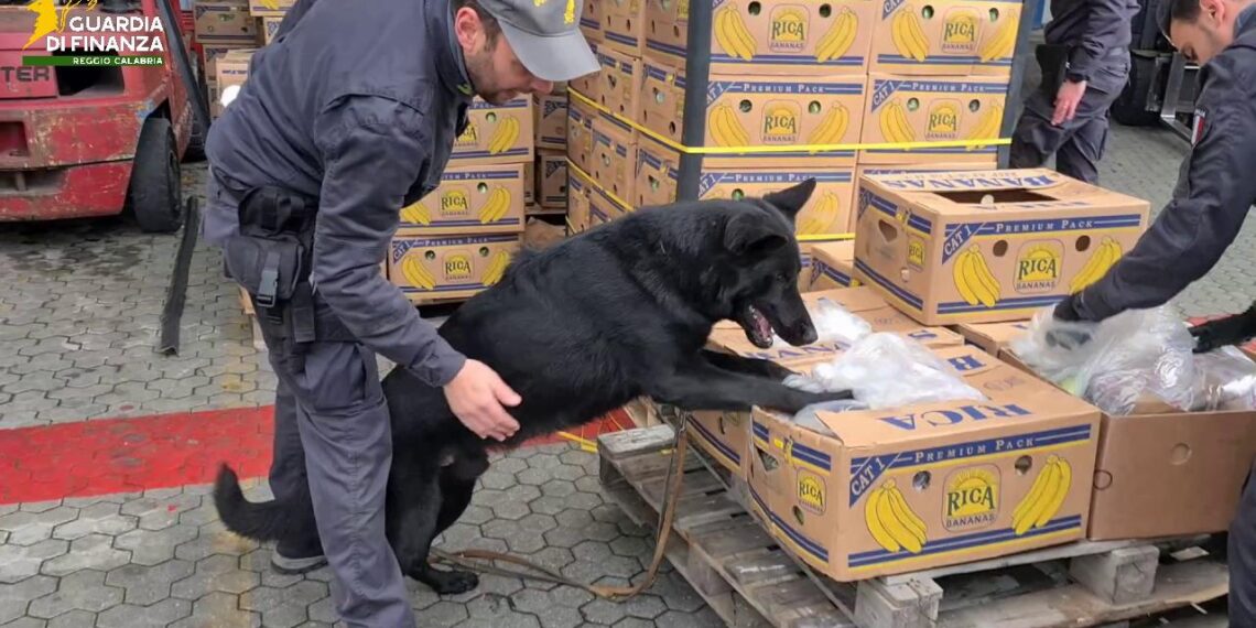 Sequestro di beni originato dalla tassazione dei proventi illeciti del narcotraffico (VIDEO)