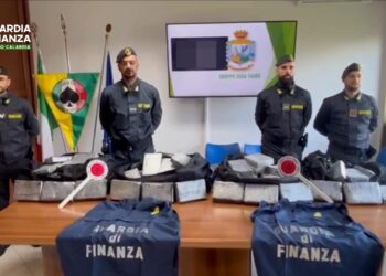 Sequestrati altri 248 chilogrammi di cocaina al porto di Gioia Tauro (VIDEO)