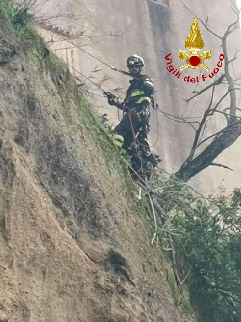Pizzo, intervento dei Vigili del Fuoco per rimuovere alberi pericolanti sul costone di Discesa Seggiola (FOTO) 5 1wtmk 1