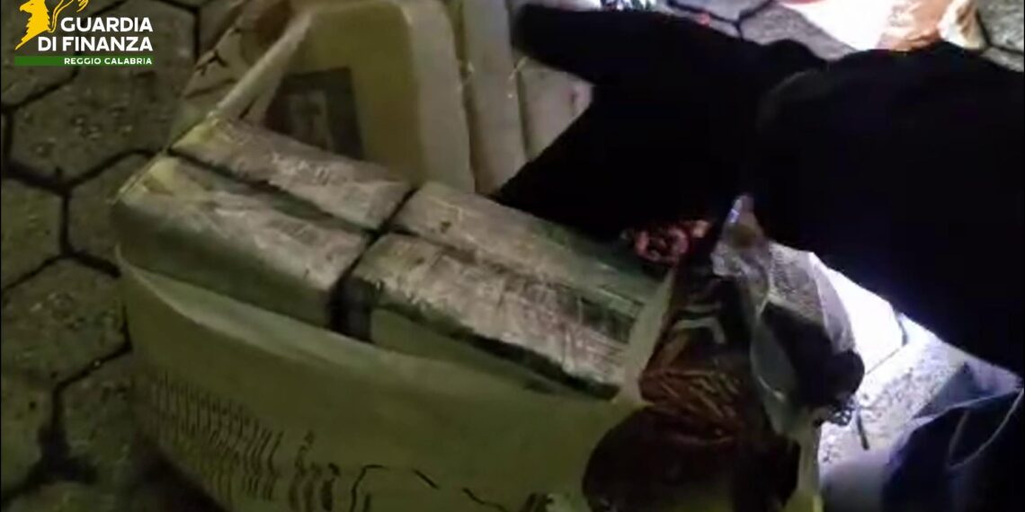Sequestrati 435 chili di cocaina nel porto di Gioia Tauro (VIDEO)