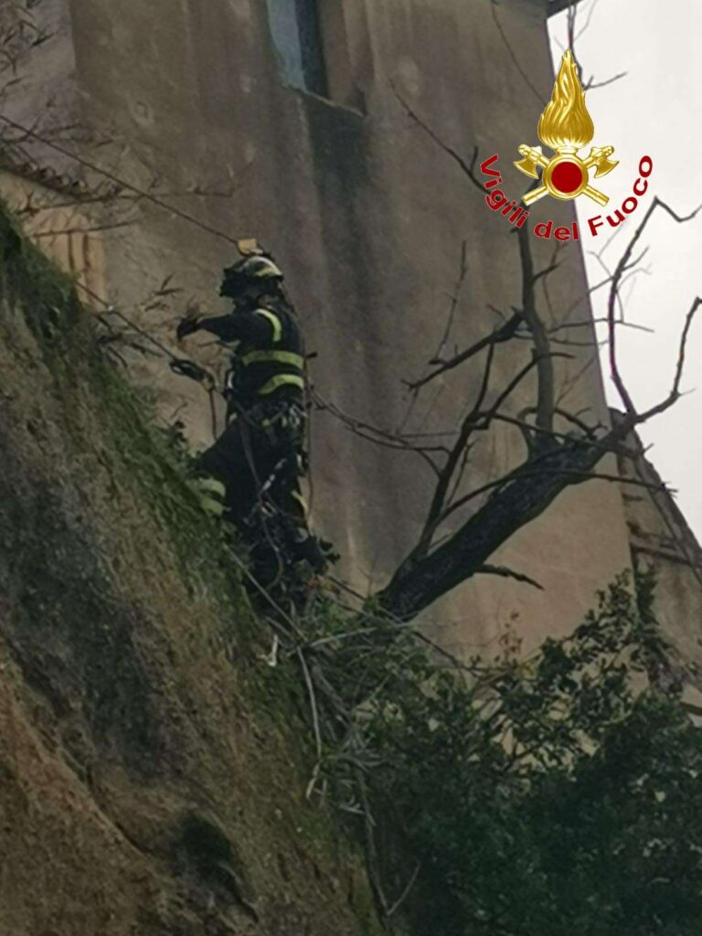 Pizzo, intervento dei Vigili del Fuoco per rimuovere alberi pericolanti sul costone di Discesa Seggiola (FOTO) 4 2wtmk 1