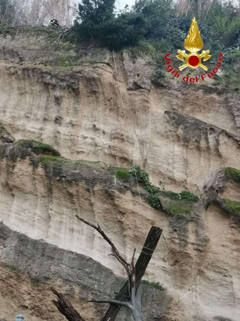 Pizzo, intervento dei Vigili del Fuoco per rimuovere alberi pericolanti sul costone di Discesa Seggiola (FOTO) 8 4wtmk 1