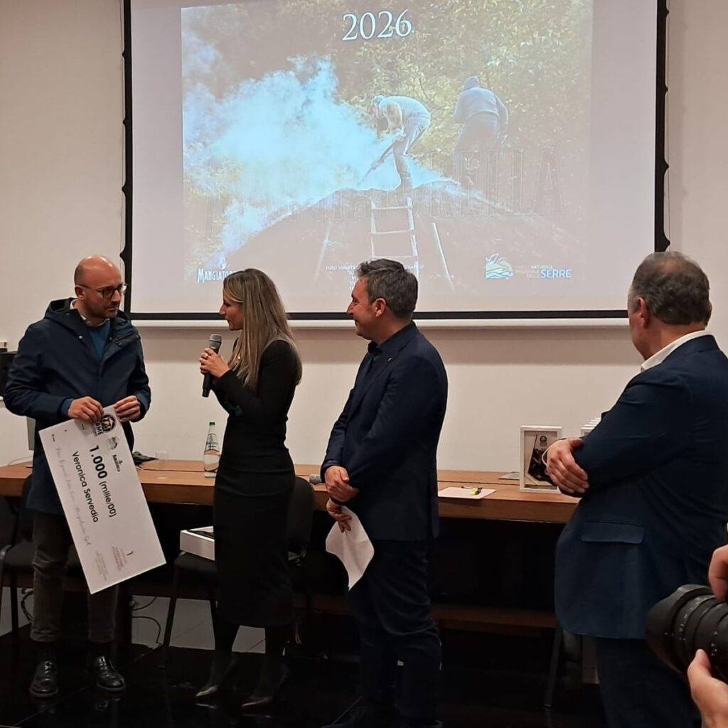 599941238 1295642455940431 7037631192365186545 n