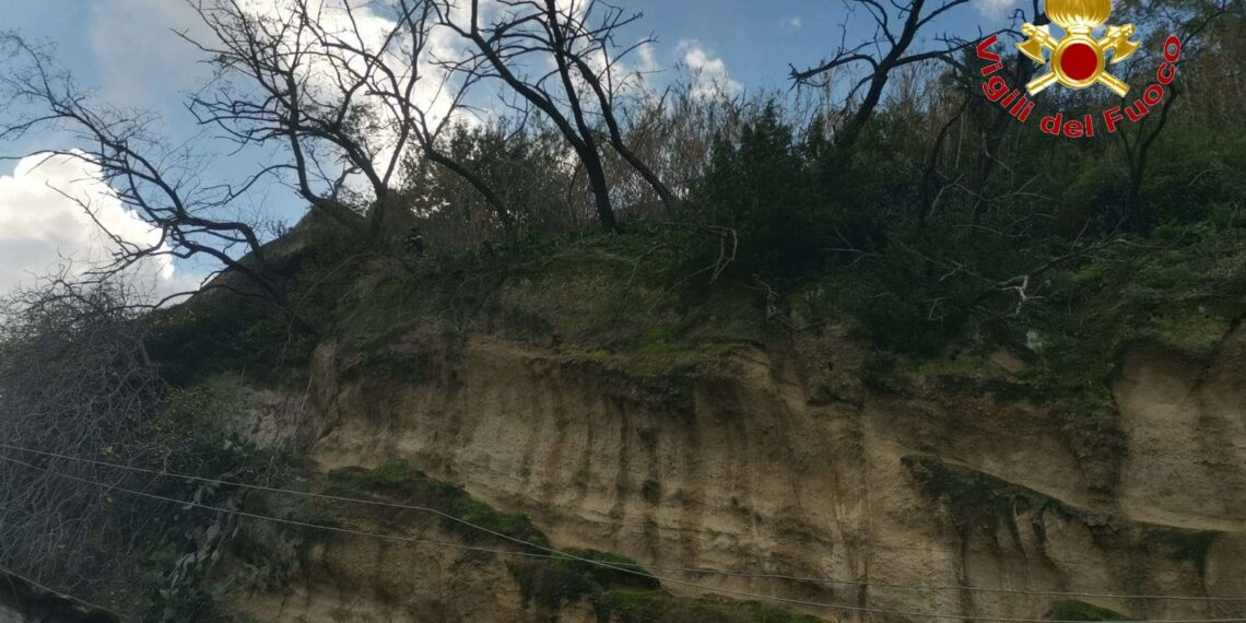 Pizzo, intervento dei Vigili del Fuoco per rimuovere alberi pericolanti sul costone di Discesa Seggiola (FOTO) 1 Pizzo, intervento dei Vigili del Fuoco per rimuovere alberi pericolanti sul costone di Discesa Seggiola (FOTO)