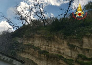 Pizzo, intervento dei Vigili del Fuoco per rimuovere alberi pericolanti sul costone di Discesa Seggiola (FOTO) 1 Pizzo, intervento dei Vigili del Fuoco per rimuovere alberi pericolanti sul costone di Discesa Seggiola (FOTO)