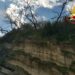 Pizzo, intervento dei Vigili del Fuoco per rimuovere alberi pericolanti sul costone di Discesa Seggiola (FOTO)