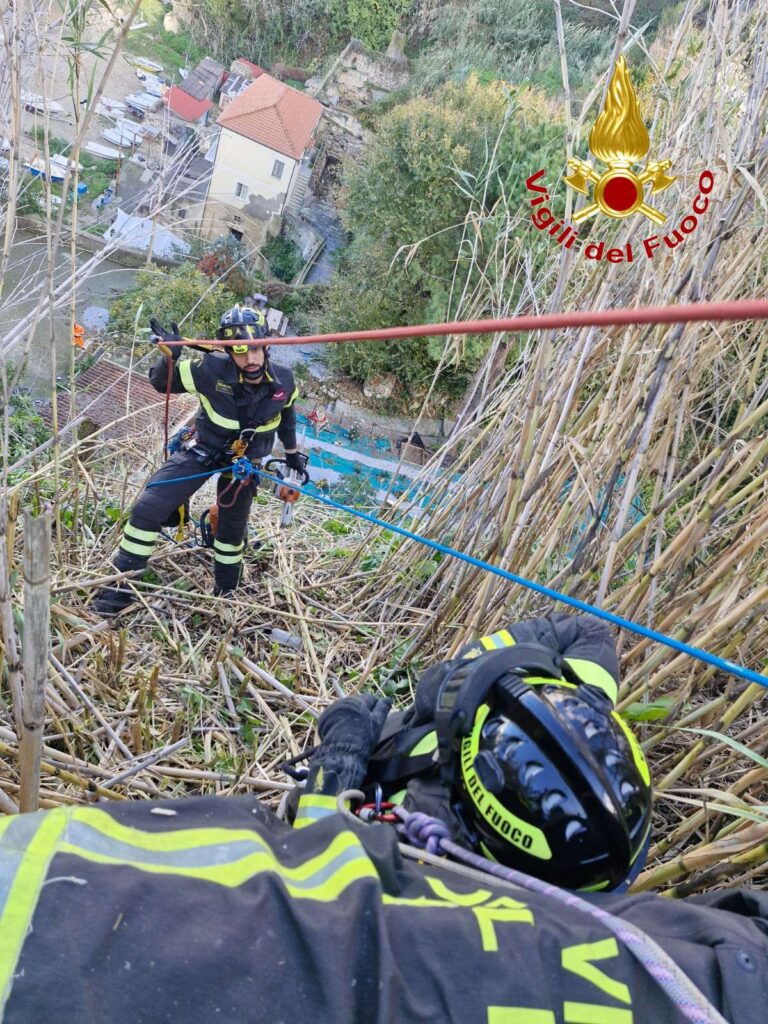 Pizzo, intervento dei Vigili del Fuoco per rimuovere alberi pericolanti sul costone di Discesa Seggiola (FOTO) 7 7wtmk