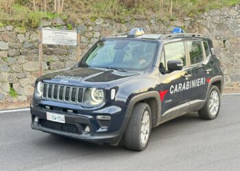Tentano il furto in una villetta a Cataforio: arrestati due uomini dai carabinieri