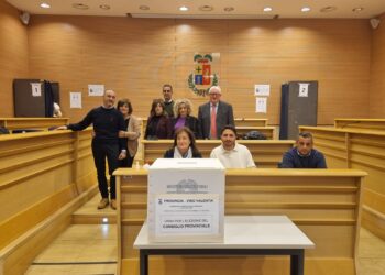 Provincia di Vibo Valentia, il voto ponderato ridisegna il Consiglio e crea smottamenti nelle coalizioni (VIDEO)