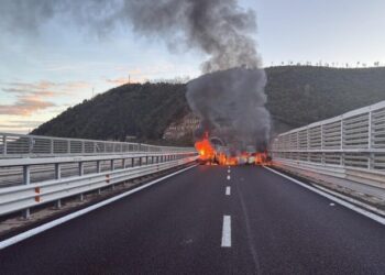 Roccambolesca rapina ad un portavalori sulal corsia nor dell'A2 del Mediterraneo tra Scilla e Bagnara (VIDEO) 4 Roccambolesca rapina ad un portavalori sulal corsia nor dell’A2 del Mediterraneo tra Scilla e Bagnara (VIDEO)