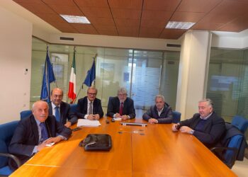 Sanità vibonese, piccoli passi avanti dall'incontro di questa mattina tra Regione e delegazione di sindaci 5 Sanità vibonese, piccoli passi avanti dall’incontro di questa mattina tra Regione e delegazione di sindaci