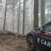I Carabinieri denunciano un imprenditore boschivo per taglio irregolare di alberi del demanio regionale 9 I Carabinieri denunciano un imprenditore boschivo per taglio irregolare di alberi del demanio regionale