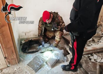 I Carabinieri sequestrano 3,5 chili di marijuana nascosta ad Africo