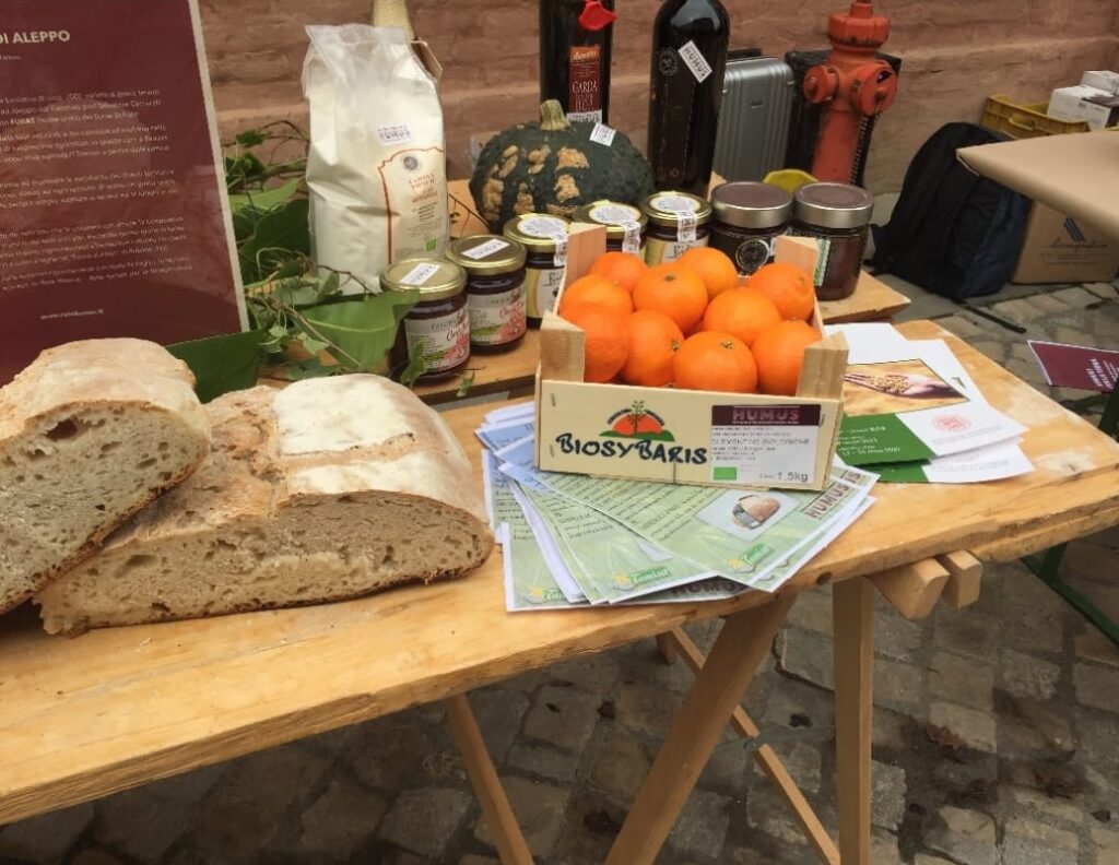 “Regenera”, la terra che unisce: a Vibo Valentia una due giorni di eventi 3 WhatsApp Image 2025 12 15 at 15.56.25 1