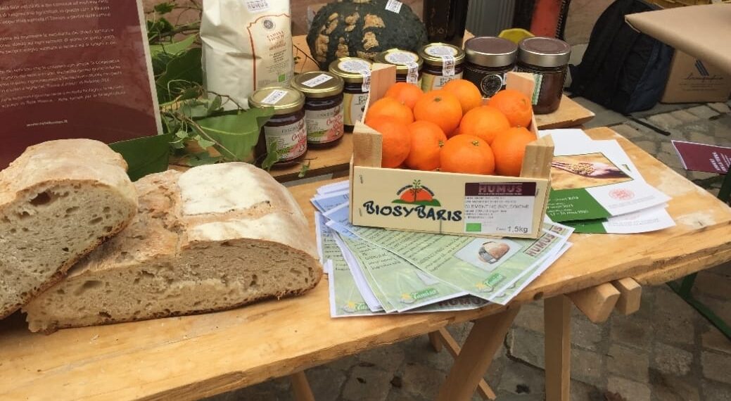 “Regenera”, la terra che unisce: a Vibo Valentia una due giorni di eventi 1 “Regenera”, la terra che unisce: a Vibo Valentia una due giorni di eventi