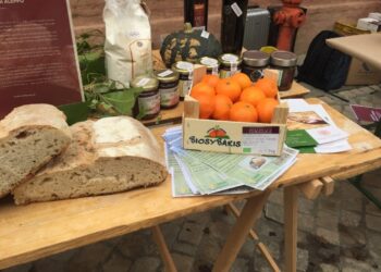 “Regenera”, la terra che unisce: a Vibo Valentia una due giorni di eventi