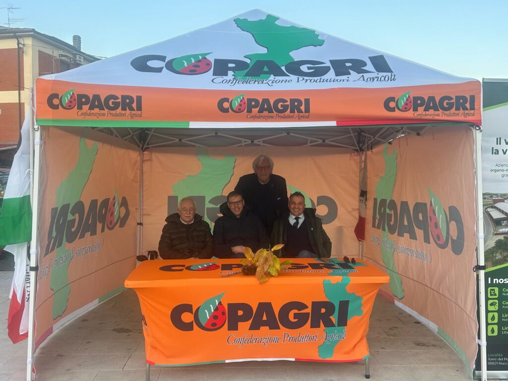 WhatsApp Image 2025 12 16 at 10.39.25