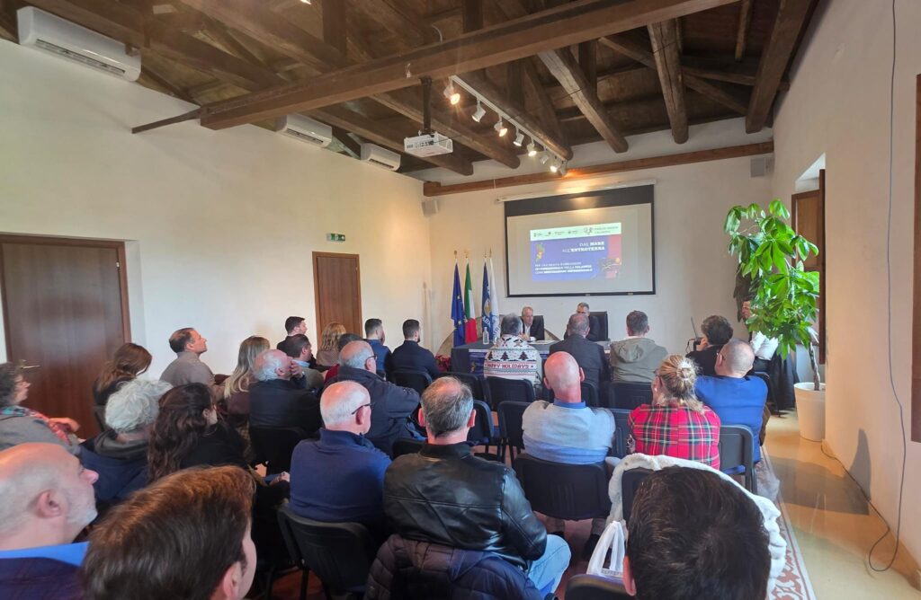 WhatsApp Image 2025 12 19 at 15.10.52