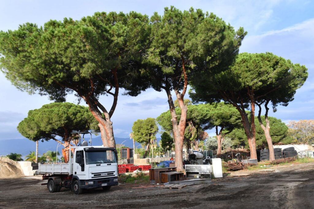 WhatsApp Image 2025 12 20 at 16.34.33