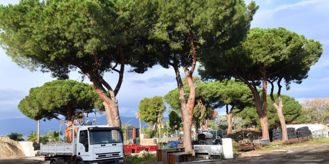 Reggio Calabria: quando la rigenerazione urbana dimentica le imprese