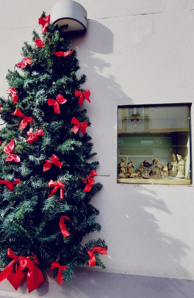 WhatsApp Image 2025 12 22 at 14.42.00 1