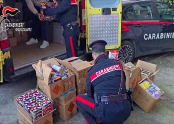 I Carabinieri sequestrano una tonnellata di botti illegali (VIDEO)