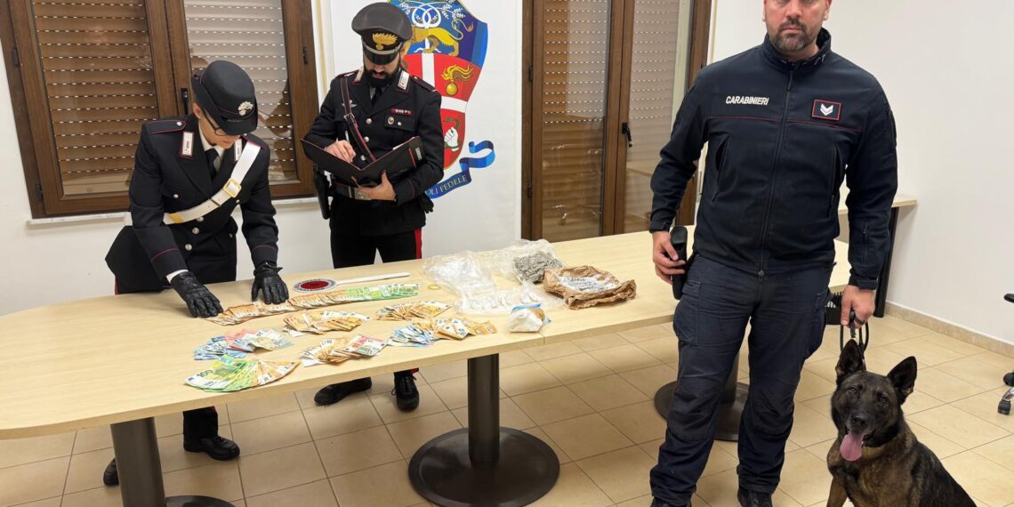 Cane antidroga dei Carabinieri scoca Cocaina e marijuana nascoste a Gioia Tauro