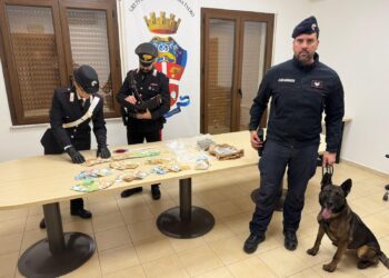 Cane antidroga dei Carabinieri scoca Cocaina e marijuana nascoste a Gioia Tauro