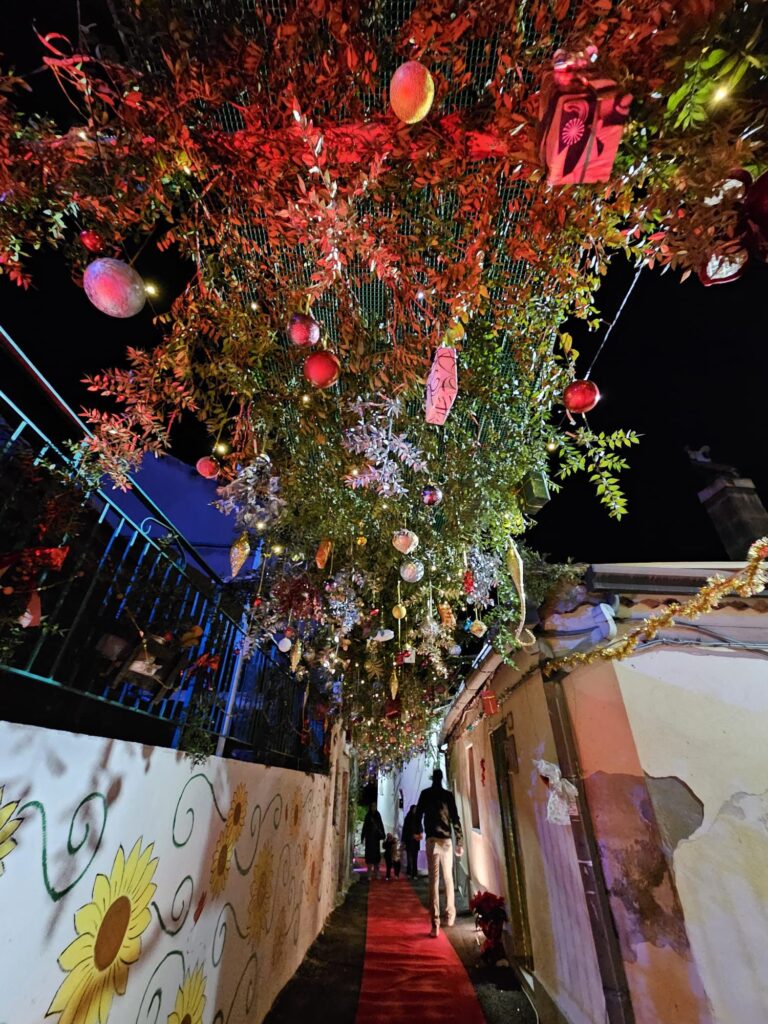 WhatsApp Image 2025 12 30 at 12.24.44