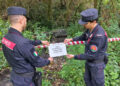 Controlli dei Carabinieri in tema di reati ambientali