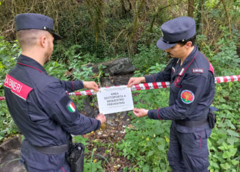 Controlli dei Carabinieri in tema di reati ambientali