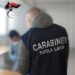 Nel Vibonese controlli del Nucleo Ispettorato del Lavoro e del Comando Provinciale dei Carabinieri 9 Nel Vibonese controlli del Nucleo Ispettorato del Lavoro e del Comando Provinciale dei Carabinieri