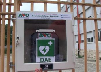Vibo Valentia, l’AVO dona un defibrillatore al servizio della comunità (VIDEO)