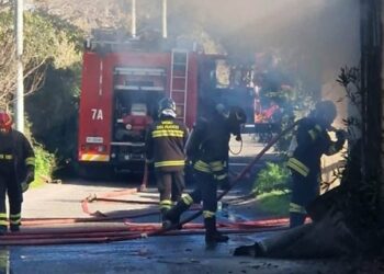 Maida, un incendio distrugge un capannone commerciale
