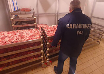 Controlli nei mercati e negli esercizi commerciali del catanzarese