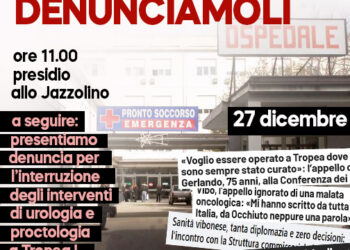 Sanità vibonese, la protesta non si ferma: nuove denunce annunciate dopo il sit-in allo Jazzolino 4 Sanità vibonese, la protesta non si ferma: nuove denunce annunciate dopo il sit-in allo Jazzolino
