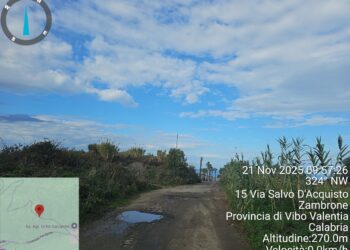 Frana sulla SP83 a Daffinacello: i consiglieri di opposizione chiedono chiarezza e sicurezza 6 Frana sulla SP83 a Daffinacello: i consiglieri di opposizione chiedono chiarezza e sicurezza