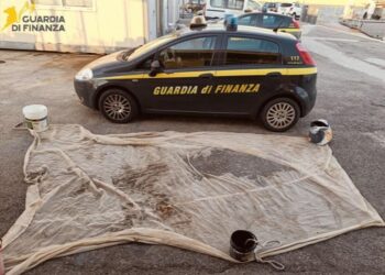 I finanzieri della Sezione Operativa Navale di Crotone hanno sequestrato circa 25 chili di novellame di sarda