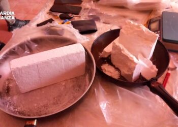 Cocaina e marijuana trovate dalla Guardia di Finanza a Cetraro (VIDEO)