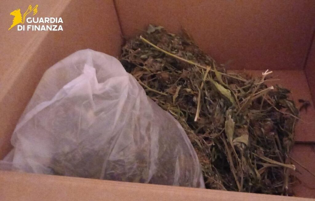 Cocaina e marijuana trovate dalla Guardia di Finanza a Cetraro (VIDEO) 4 17012026 103509 Gdf5