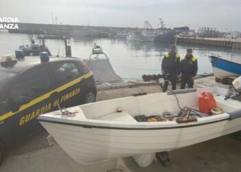 Sequestrati circa 55 chili di novellame di sarda dalla Guardia di Finanza