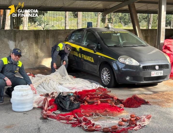 Sequestrati circa 55 chili di novellame di sarda dalla Guardia di Finanza 3 19012026 032547 logo 3